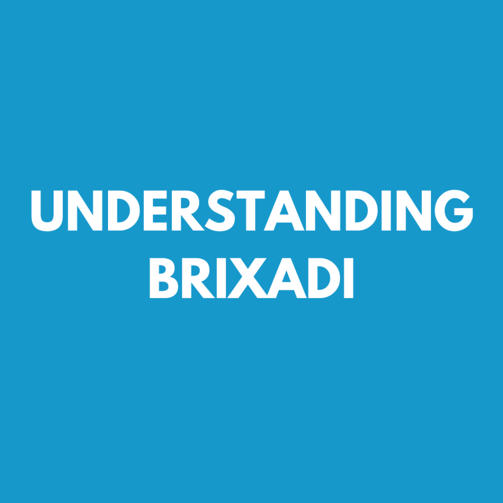 UNDERSTANDING BRIXADI